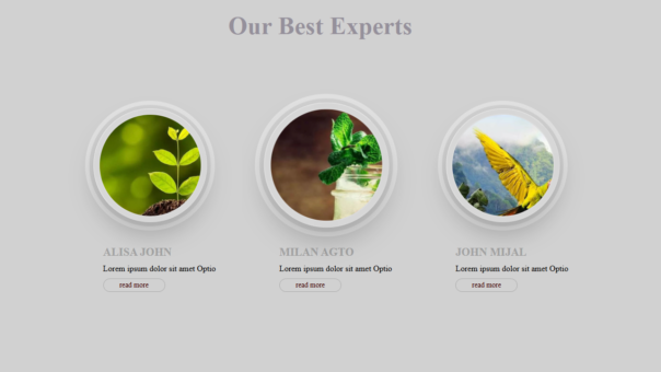 "Our Best Experts Team Showcase